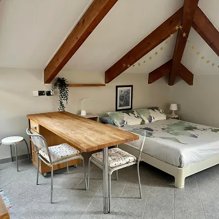 Loft Centro Storico Tommaso Apartment Turin
