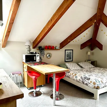 Loft Centro Storico Tommaso Apartment *