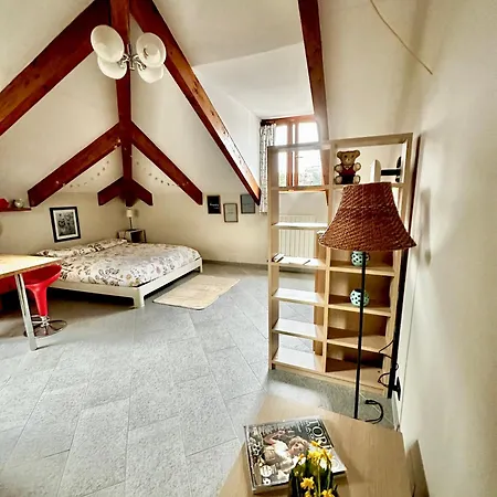 Loft Centro Storico Tommaso Apartment Turin